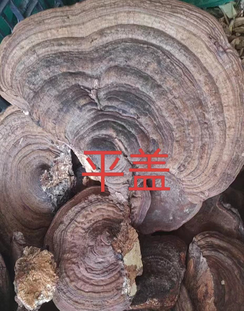 015.png